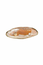 Gold İstiridye Tütsülük - Görsel 4