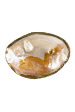 Gold İstiridye Tütsülük - Görsel 5