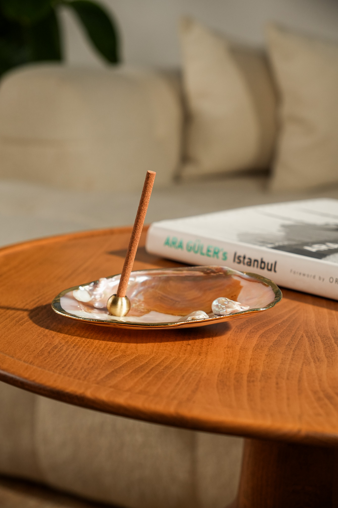 DSC04885 Gold İstiridye Tütsülük - Görsel 1